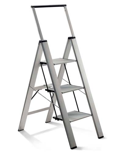 Ladder