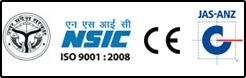 NSIC Logo